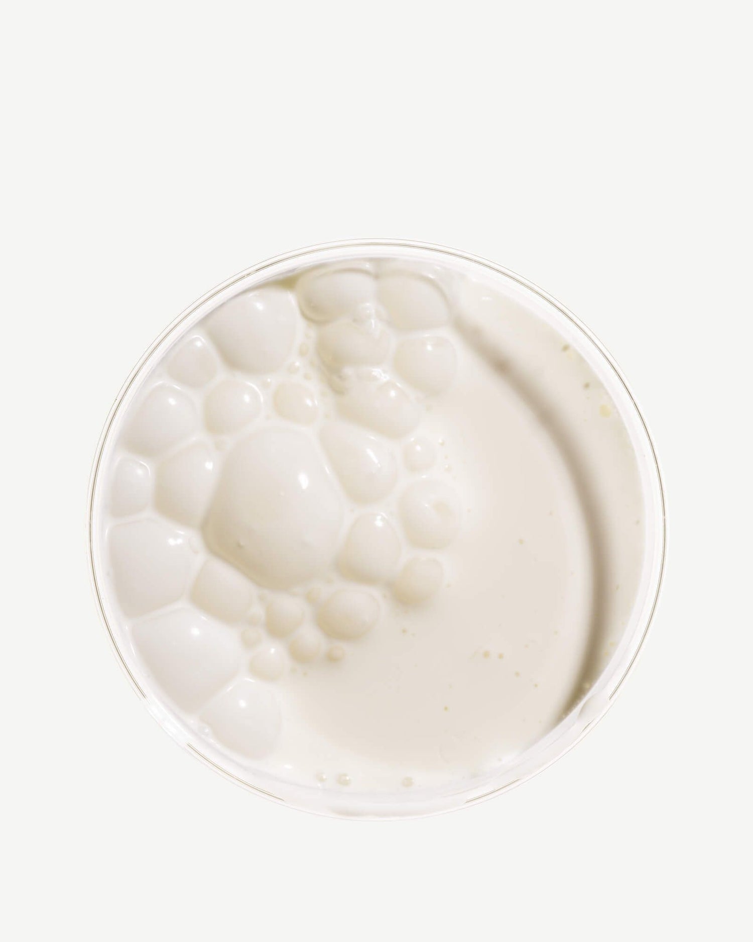 Proprietary Blend of Probiotics